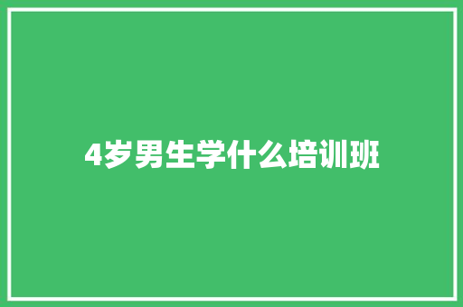 4岁男生学什么培训班 工作总结范文