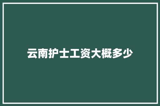 云南护士工资大概多少