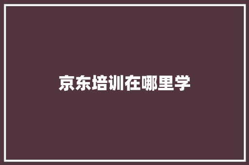 京东培训在哪里学 工作总结范文