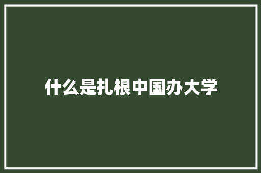 什么是扎根中国办大学 论文范文