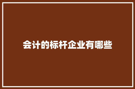 会计的标杆企业有哪些