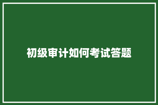 初级审计如何考试答题