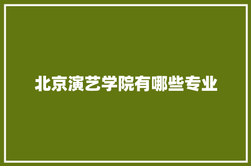 北京演艺学院有哪些专业 商务邮件范文