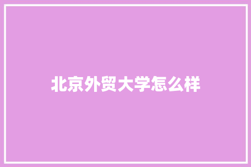 北京外贸大学怎么样