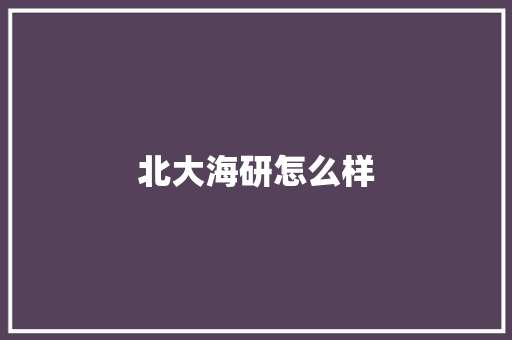 北大海研怎么样