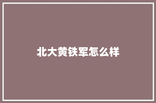 北大黄铁军怎么样 学术范文