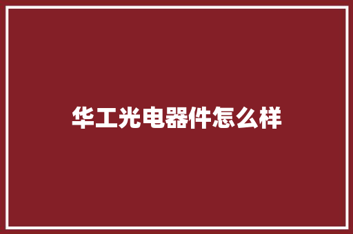 华工光电器件怎么样 职场范文