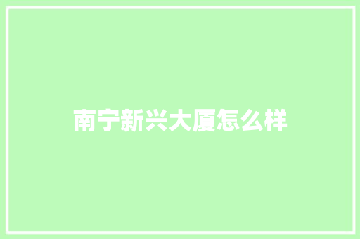 南宁新兴大厦怎么样 综述范文