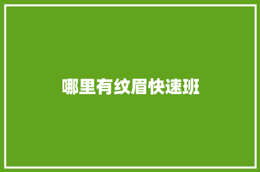 哪里有纹眉快速班 书信范文