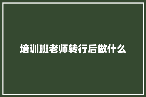 培训班老师转行后做什么 报告范文