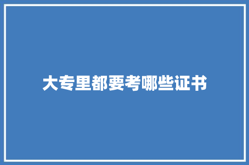 大专里都要考哪些证书 工作总结范文