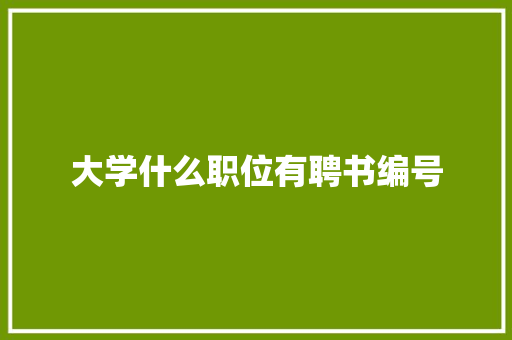 大学什么职位有聘书编号 申请书范文