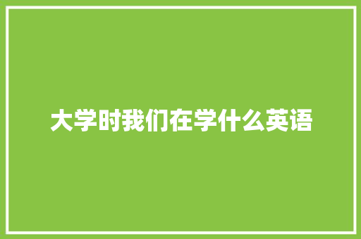 大学时我们在学什么英语 论文范文