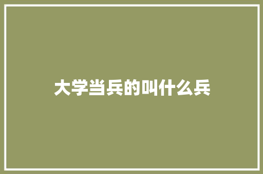 大学当兵的叫什么兵 学术范文