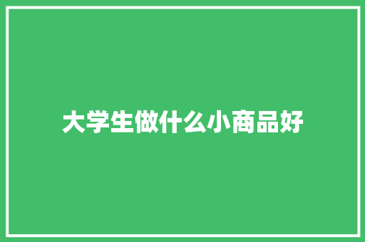 大学生做什么小商品好