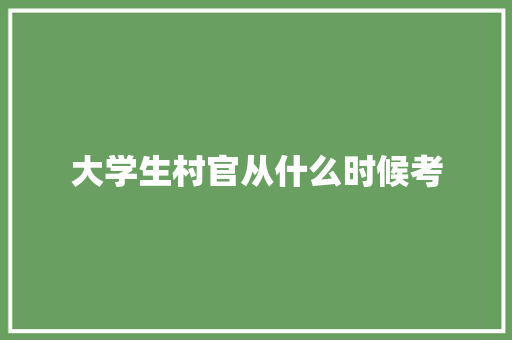 大学生村官从什么时候考