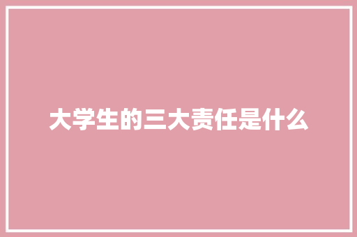 大学生的三大责任是什么 论文范文