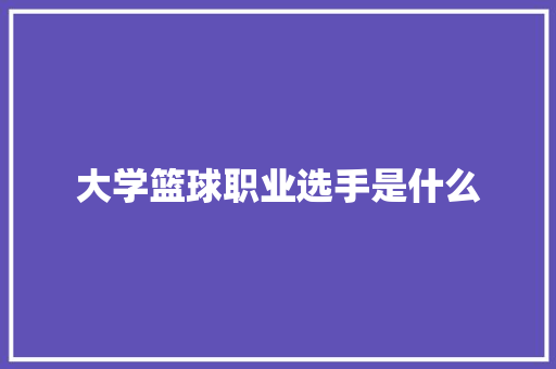 大学篮球职业选手是什么 论文范文