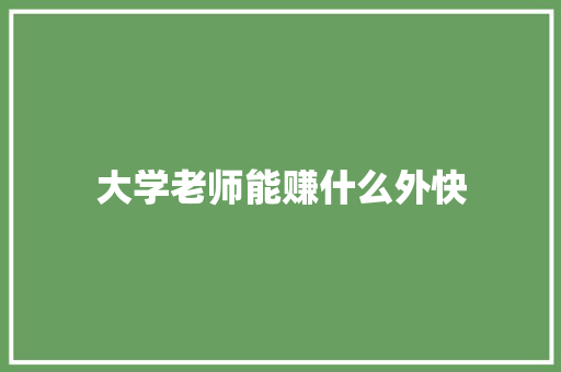 大学老师能赚什么外快 报告范文