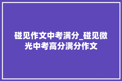 碰见作文中考满分_碰见微光中考高分满分作文 会议纪要范文