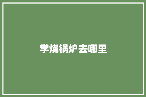 学烧锅炉去哪里 书信范文