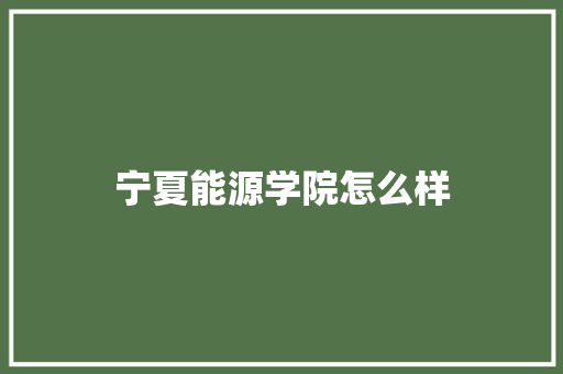 宁夏能源学院怎么样