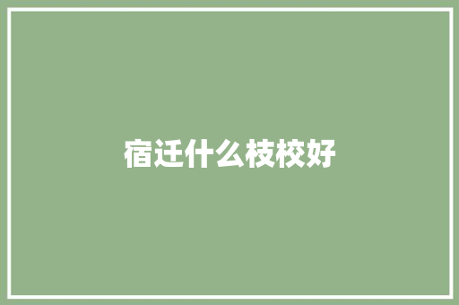 宿迁什么枝校好 申请书范文