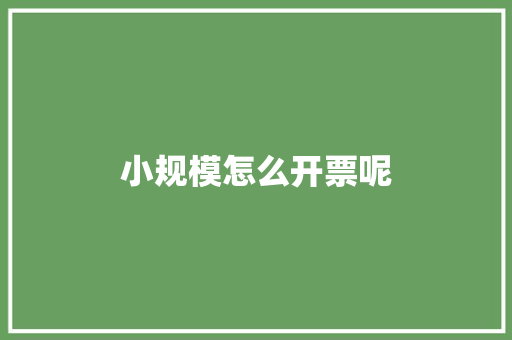 小规模怎么开票呢 申请书范文