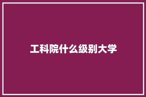 工科院什么级别大学