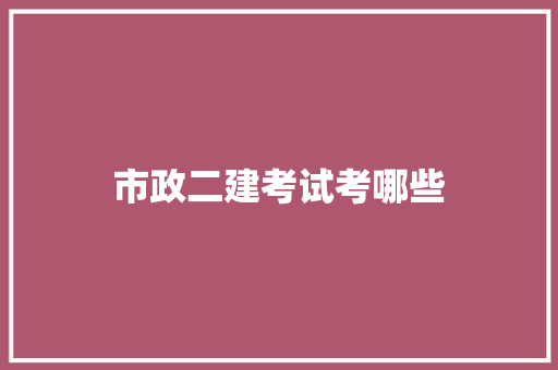 市政二建考试考哪些 申请书范文