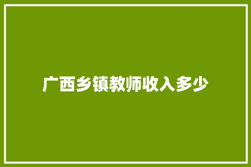 广西乡镇教师收入多少 报告范文