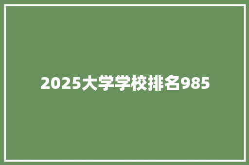 2025大学学校排名985