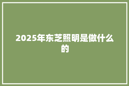 2025年东芝照明是做什么的