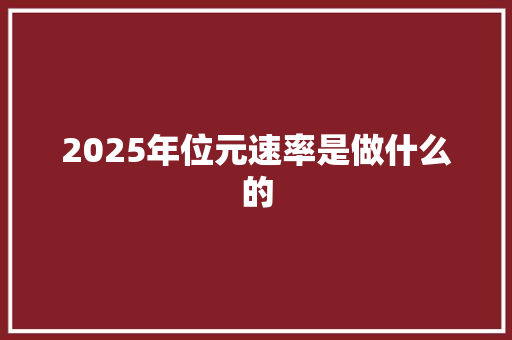 2025年位元速率是做什么的