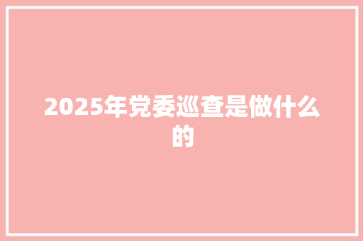 2025年党委巡查是做什么的 会议纪要范文