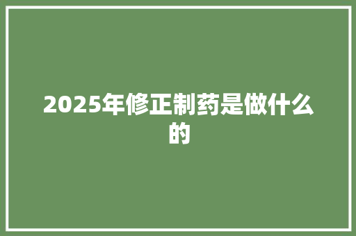 2025年修正制药是做什么的