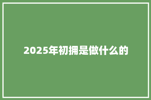 2025年初拥是做什么的 论文范文