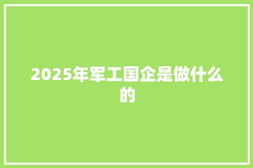 2025年军工国企是做什么的