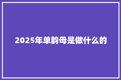 2025年单韵母是做什么的