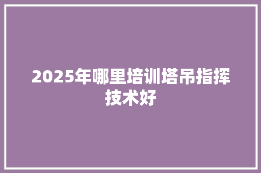 2025年哪里培训塔吊指挥技术好