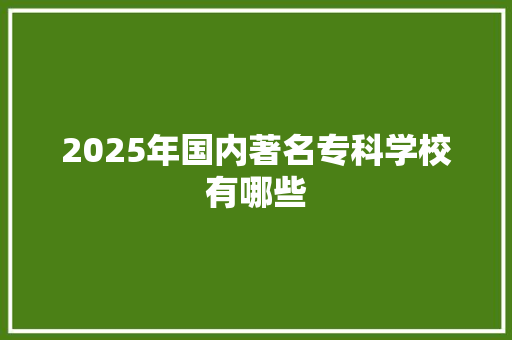 2025年国内著名专科学校有哪些