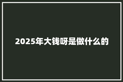 2025年大钱呀是做什么的