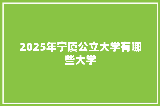 2025年宁厦公立大学有哪些大学