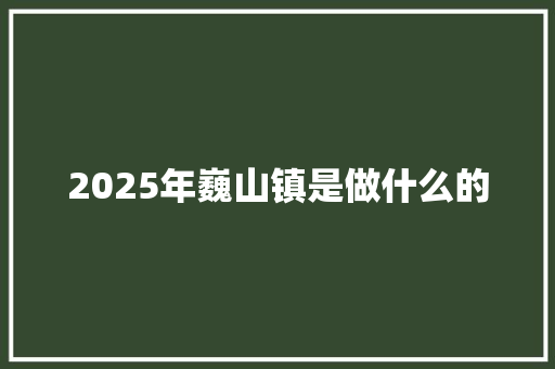 2025年巍山镇是做什么的 学术范文