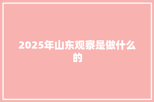 2025年山东观察是做什么的