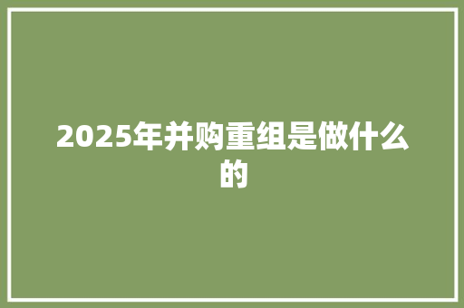 2025年并购重组是做什么的