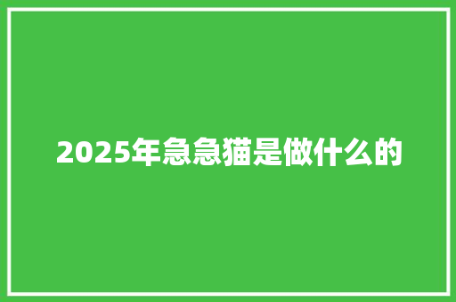 2025年急急猫是做什么的 演讲稿范文