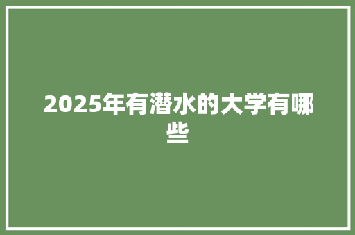 2025年有潜水的大学有哪些