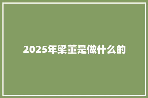 2025年梁董是做什么的