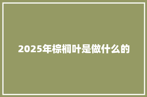 2025年棕榈叶是做什么的 致辞范文